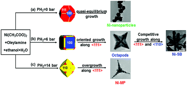 Graphical abstract: Hydrogen assisted synthesis of branched nickel nanostructures: a combined theoretical and experimental study