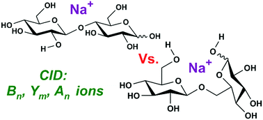 Graphical abstract: Sodium-cationized carbohydrate gas-phase fragmentation chemistry: influence of glycosidic linkage position