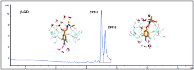 Graphical abstract: Structural rationale for the chiral separation and migration order reversal of clenpenterol enantiomers in capillary electrophoresis using two different β-cyclodextrins