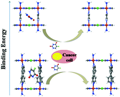 Graphical abstract: Exploring the geometric, magnetic and electronic properties of Hofmann MOFs for drug delivery