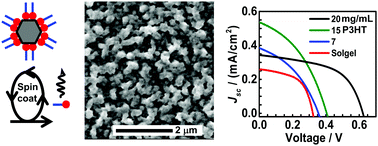 Graphical abstract: Textured ZnO films from evaporation-triggered aggregation of nanocrystal dispersions and their use in solar cells