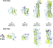 Graphical abstract: Metal ions affect the formation and stability of amyloid β aggregates at multiple length scales