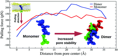 Graphical abstract: The role of Tat peptide self-aggregation in membrane pore stabilization: insights from a computational study