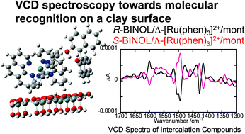 Graphical abstract: Solid state vibrational circular dichroism towards molecular recognition: chiral metal complexes intercalated in a clay mineral