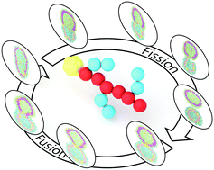 Graphical abstract: Dynamic evolution of a vesicle formed by comb-like block copolymer-tethered nanoparticles: a dissipative particle dynamics simulation study