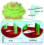 Graphical abstract: Improved ethanol gas sensing performances of a ZnO/Co3O4 composite induced by its flytrap-like structure