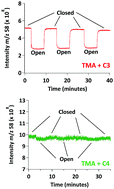 Graphical abstract: Knudsen cell studies of the uptake of gaseous ammonia and amines onto C3–C7 solid dicarboxylic acids