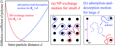 Graphical abstract: A study on the diffusivity of polymers in crowded environments with periodically distributed nanoparticles