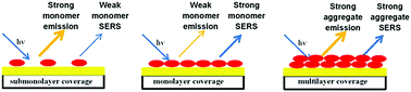 Graphical abstract: A comparison of SERS and MEF of rhodamine 6G on a gold substrate