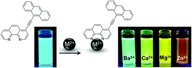 Graphical abstract: A novel multimode sensor showing cation-dependent fluorescence colour