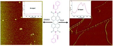 Graphical abstract: Water-induced formation of a chiral phenylalanine derivative supramolecule