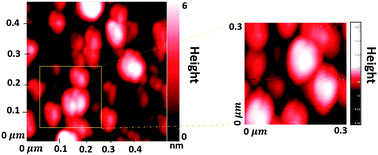 Graphical abstract: Near-field chemical mapping of gold nanostructures using a functionalized scanning probe