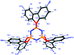 Graphical abstract: Bonding and optical properties of spirocyclic-phosphazene derivatives. A DFT approach