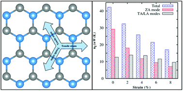 Graphical abstract: Strain engineering of phonon thermal transport properties in monolayer 2H-MoTe2