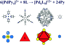 Graphical abstract: A model electronic Hamiltonian for the self-assembly of an octahedron-shaped coordination capsule