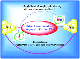 Graphical abstract: Magnetic and transport properties of conjugated and cumulated molecules: the π-system enlightens part of the story