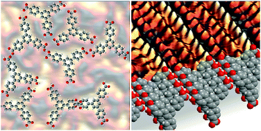 Graphical abstract: Self-assembly of 1,3,5-benzenetribenzoic acid on Ag and Cu at the liquid/solid interface