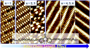 Graphical abstract: Cooperating dipole–dipole and van der Waals interactions driven 2D self-assembly of fluorenone derivatives: ester chain length effect