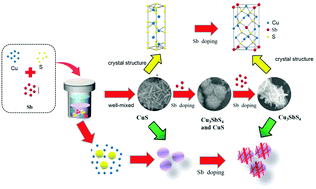 Graphical abstract: Enhanced thermoelectric performance of Cu3SbS4 flower-like hierarchical architectures composed of Cl doped nanoflakes via an in situ generated CuS template