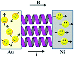 Graphical abstract: Bacteriorhodopsin based non-magnetic spin filters for biomolecular spintronics