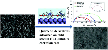 Graphical abstract: Newly synthesized quercetin derivatives as corrosion inhibitors for mild steel in 1 M HCl: combined experimental and theoretical investigation