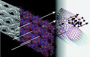 Graphical abstract: Resonance Raman and IR spectroscopy of aligned carbon nanotube arrays with extremely narrow diameters prepared with molecular catalysts on steel substrates