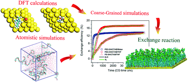 Graphical abstract: Multiscale simulations of ligand adsorption and exchange on gold nanoparticles