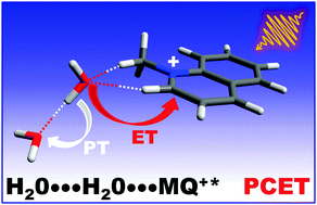 Graphical abstract: Fluorescence quenching of the N-methylquinolinium cation by pairs of water or alcohol molecules