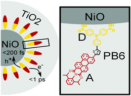 Graphical abstract: Ultrafast dye regeneration in a core–shell NiO–dye–TiO2 mesoporous film