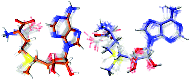 Graphical abstract: Improved NOE fitting for flexible molecules based on molecular mechanics data – a case study with S-adenosylmethionine