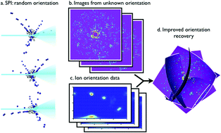 Graphical abstract: Reproducibility of single protein explosions induced by X-ray lasers