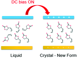 Graphical abstract: Formation of new polymorphs and control of crystallization in molecular glass-formers by electric field