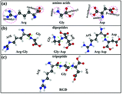 Graphical abstract: A DFT study of the adsorption of short peptides on Mg and Mg-based alloy surfaces