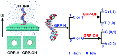 Graphical abstract: Computational investigation on DNA sequencing using functionalized graphene nanopores
