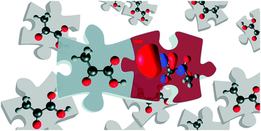 Graphical abstract: Dissociative electron attachment and anion-induced dimerization in pyruvic acid