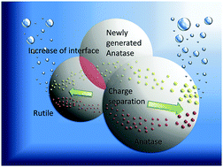 Graphical abstract: Photoexcited charge carrier dynamics of interconnected TiO2 nanoparticles: evidence of enhancement of charge separation at anatase–rutile particle interfaces