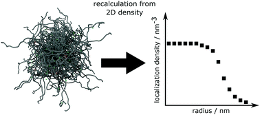 Graphical abstract: Super-resolution optical microscopy resolves network morphology of smart colloidal microgels