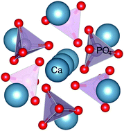 Graphical abstract: Posner molecules: from atomic structure to nuclear spins