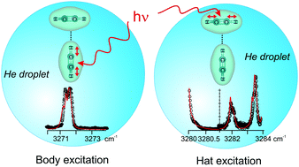 Graphical abstract: Dynamics of acetylene dimers hosted in helium droplets