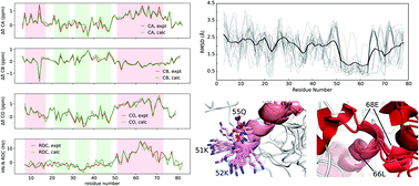 Graphical abstract: Conformational sampling of the intrinsically disordered dsRBD-1 domain from Arabidopsis thaliana DCL1