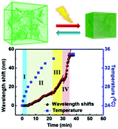 Graphical abstract: Insight into the local near-infrared photothermal dynamics of graphene oxide functionalized polymers through optical microfibers