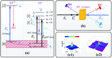 Graphical abstract: Investigation of multi-bunching by generating multi-order fluorescence of NV center in diamond