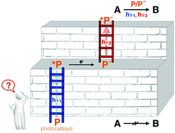 Graphical abstract: Mechanistic insights into two-photon-driven photocatalysis in organic synthesis