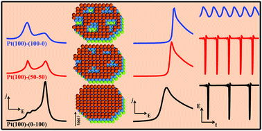 Graphical abstract: Probing the surface fine structure through electrochemical oscillations