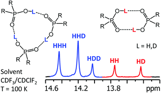 Graphical abstract: Cyclic trimers of phosphinic acids in polar aprotic solvent: symmetry, chirality and H/D isotope effects on NMR chemical shifts