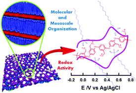Graphical abstract: Electrochemical nanoarchitectonics through polyaminobenzylamine–dodecyl phosphate complexes: redox activity and mesoscopic organization in self-assembled nanofilms