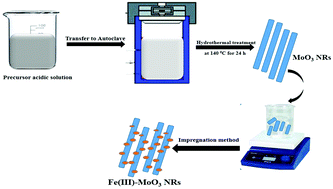 Graphical abstract: Harvesting visible light with MoO3 nanorods modified by Fe(iii) nanoclusters for effective photocatalytic degradation of organic pollutants