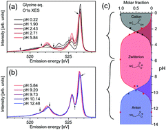 Graphical abstract: Effect of amino group protonation on the carboxyl group in aqueous glycine observed by O 1s X-ray emission spectroscopy