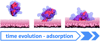 Graphical abstract: Adsorption of amphiphilic graft copolymers in solvents selective for the grafts on a lyophobic surface: a coarse-grained simulation study