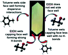 Graphical abstract: Examination of inequivalent wetting on the crystal habit surfaces of RS-ibuprofen using grid-based molecular modelling